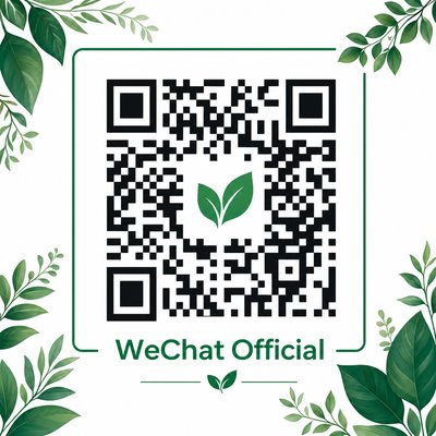 黑丝公众号二维码
